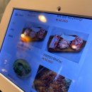 반석역 | 대전 반석역 고기맛집, 땡큐삼겹1978 솔직후기_어머니랑 다녀온 찐 만족 방문기