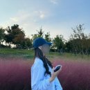 오랜만에 시작하는 블로그
