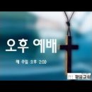 (20250216 오후) 베드로가 증언한 거짓 선생들의 특징 2 (벧후 2:17~22) 이미지