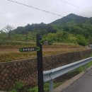예보은