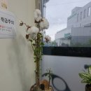 목화미장원