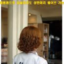 젠헤어 이미지