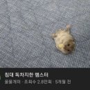 그냥거기 이미지