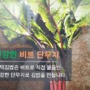 공덕김밥 이미지