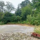 김명옥 펜션 이미지