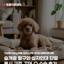 강북동물병원 | 슬개골 탈구와 십자인대 단열 동시 교정, TPLO 수술 후기, 노원강북동물병원, N동물의료센터 노원점