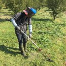 용안농약사 이미지