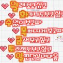 아하하
