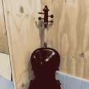 피스테일 이미지