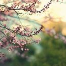 합성자동차 이미지