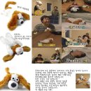 웃는 강아지 이미지