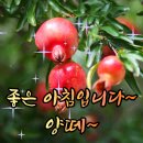 더위 잘 나셨어요? 이미지