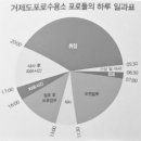 포로수용소 조사 보고서(3124이수빈) 이미지