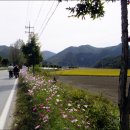 안흥면사무소 이미지