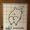 카츠 디나인(카츠 D9) 이미지