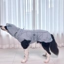 털복숭이친구들 | [대형견 강아지패딩] 추운날씨엔 털복숭이들도 필수템, 바잇미 패딩