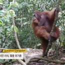 안녕숲 이미지