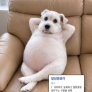 월