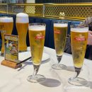 칭다오 생맥주 직영펍 1903 술집 / 54광장 야경 레이저쇼