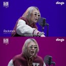 마이딩고 이미지