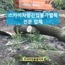 서울방향 남사동탄8(LCS) | 스카이차량진입불가벌목 전문 업체