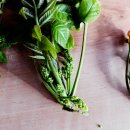 옻나무집 이미지