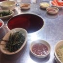 황소꼼장어