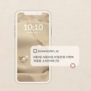 여우스킨 이미지