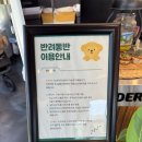 써니애견 | 충북 음성 반려동물 애견동반 카페 | 써니 SUNNY 내돈내산 후기