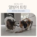 고양이 열빙어트릿 후기 | 동결건조간식 추천