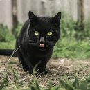 파주24시동물병원 이미지