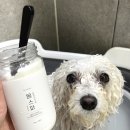 A0009 | 겨울철 강아지각질 간지러움 관리 바스몽 강아지스파 사용 후기