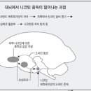 ★★★★★ 놀라운 금연 후 신체변화 - 6월 8일 월요일부터 금연 함께 하실분을 모집합니다. 이미지