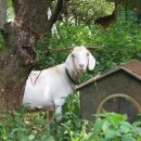 곡부농장 이미지