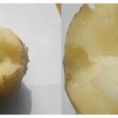 병천농장 이미지