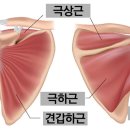 메디스포츠 네이버블로그