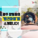 양림펭귄마을협동조합(달콩이휴게소) | 광주 양림동의 ‘펭귄마을’을 소개합니다!