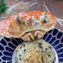 영덕09 | 영덕 강구항 맛집 강구항 대게 가격 대게코스요리 영덕강구항대게맛집 이오