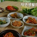 자연생활의집청도 네이버블로그