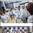 본플렉스(BONPLEX) 제품 후기 및 자료 종합 가이드