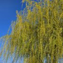 면목체육공원 이미지