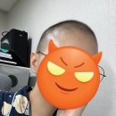 까까머리미용실 | [잇퓨패스트샴푸] 단백질샴푸 내돈내산 6개월 실제후기(까까머리부터시작)