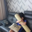 키다리대나무