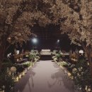 파크리움 (구:강남빌딩) | #W3 결혼식에 가자