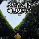 소노캄제주연회장 | 소노캄 제주 해변산책로 후기 | 야외정원에서 올레길 4코스까지