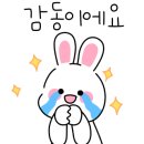 바르다김선생 구미옥계점 이미지