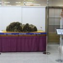 청송수석꽃돌박물관 이미지