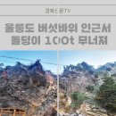 울릉도 버섯바위 인근서 돌덩이 100t 무너져… 해빙기 낙석 주의 경북신문 이미지