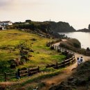 월지농장 이미지