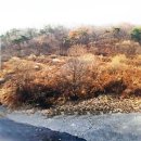 여주-0553 이미지